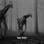 Blac Kolor | 
Wide Noise | 
BUP012